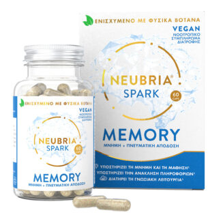 Neubria spark memory